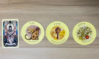 Tarot tuần này: Kim Ngưu bị thử thách sự chính trực, Sư Tử tránh chuyện xui