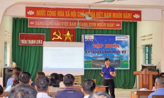 Chuyển giao kỹ thuật chăn nuôi vịt cho nhiều hộ nghèo ở Thanh Hoá