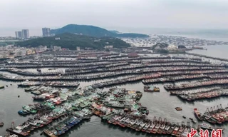 Trung Quốc: Hàng trăm nghìn tàu thuyền cập cảng trước khi siêu bão YAGI đổ bộ