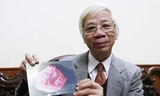 Xây dựng chiến lược phát triển ngành đá quý Việt Nam