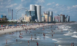 Giải mã vì sao cá mập tấn công con người ở bãi biển 