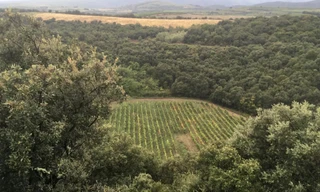 Phát hiện những hạt kim cương siêu nhỏ tại Pháp, dấu hiệu của vụ va chạm thiên thạch cổ đại 