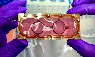 'Trái tim trên con chip' sẽ du hành vào vũ trụ trên tàu Dragon của SpaceX tối nay 