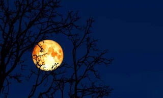 Tại sao trăng rằm tháng 2 được gọi là Trăng giun? 