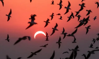 10 điều kỳ lạ xảy ra trong quá trình nhật thực 