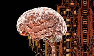 Phát hiện mạng lưới não bí ẩn có thể gây ra nhiều chứng rối loạn tâm thần 