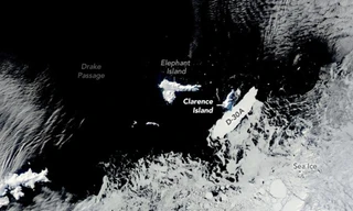 Tảng băng trôi khổng lồ đâm vào nơi trú ẩn của chim cánh cụt ở Nam Cực