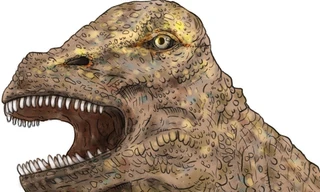 Nam Cực trở thành cây cầu giúp khủng long lang thang giữa các lục địa