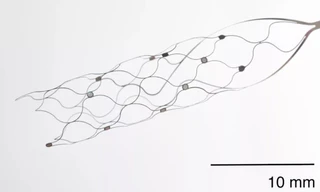 Đột phá: Thiết bị 'điều khiển bằng suy nghĩ' mới đọc hoạt động của não từ… cổ 