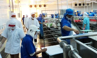 BIDV hỗ trợ Công ty Bình An tái cơ cấu