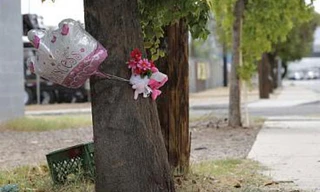 Bé trai 8 tuổi lái xe hơi chở em gái gặp nạn