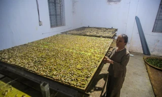 Độc đáo chiếc khẩu trang 3 lớp chống COVID-19 từ ngàn con tằm nhả tơ 