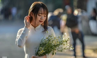 Cúc họa mi đầu mùa dịu dàng xuống phố hút khách mua