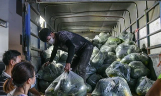 Xuyên đêm giải cứu dưa hấu từ vùng dịch Bắc Giang