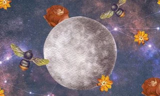 Sao Thủy đi lùi: Cẩn thận là "thuợng sách", cơ hội sửa sai luôn chờ đón các chòm sao