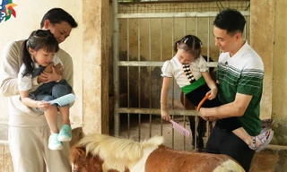 Bố Ơi, Mình Đi Đâu Thế?: Bố con Quách Ngọc Tuyên hội ngộ "em bé Điện Biên"