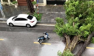  (Ảnh: Nhóm PV/Vietnam+)