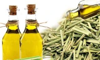 Trồng cây, sử dụng tinh dầu đuổi muỗi trong mùa sốt xuất huyết: Lợi bất cập hại?