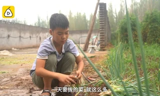 Cậu bé dành cả tuổi thơ bán hành, hiến tủy cứu em trai mắc bệnh thiếu máu