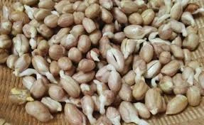 Những thực phẩm 'cực quen' dễ gây ngộ độc, thậm chí mất mạng