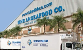 Hỗ trợ Cty Bình An sớm hoạt động