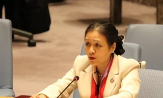 Thủ tướng bổ nhiệm lại bà Nguyễn Phương Nga giữ chức vụ Thứ trưởng Bộ Ngoại giao. (Ảnh: Nguyễn Hữu Hoàng/TTXVN)