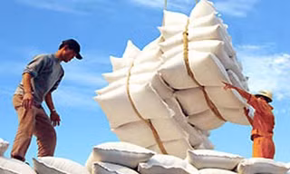 Xuất khẩu gạo tụt dốc