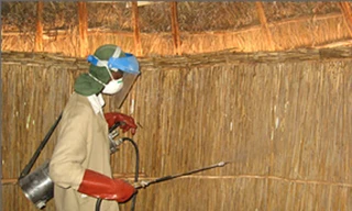 Thuốc diệt muỗi làm giảm ham muốn 'yêu'