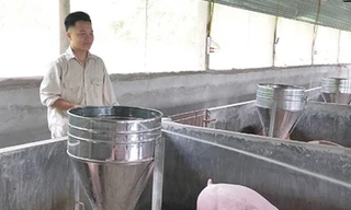 Cất tấm bằng đại học, chàng trai rời thành phố về quê mở trang trại “tiền tỷ“