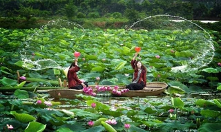 Muôn kiểu sắc màu hoa sen tại khuôn viên giảng đường rộng nhất Việt Nam 