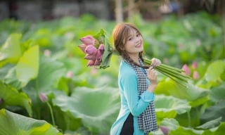 Sen hồ Tây nở rộ, thu hút người dân Hà Thành check-in, mặc nắng nóng