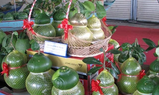 Hét giá bưởi Hồ lô tứ quý 12 triệu đồng