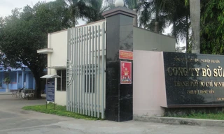 Chủ tịch TPHCM chỉ đạo xử lý hàng loạt sai phạm tại Công ty Bò sữa và Sagri