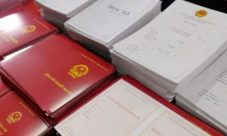 Đề nghị chuyển vụ nhiều giáo viên dạy lái xe dùng bằng giả sang Công an TPHCM