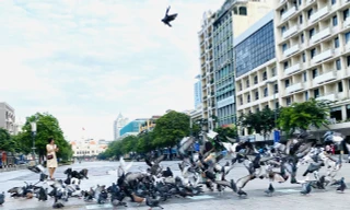 Cận cảnh những con đường được đề xuất làm phố đi bộ ở TPHCM