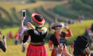 Cơn sốt đồi mâm xôi ở La Pán Tẩn