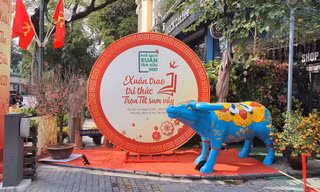 Phố sách xuân diễn ra tại đường 19/12