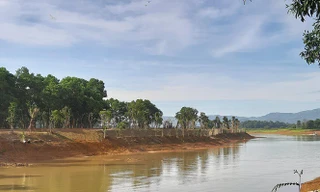 Khu vực bị san gạt tại hồ Đồng Mô