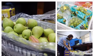 Hoa quả nhập khẩu không giấy tờ bị kiểm tra, xử lý