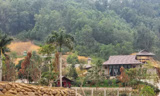 Chủ tịch Hà Nội yêu cầu khẩn trương xử lý vụ lấn chiếm đất rừng xây khu nghỉ dưỡng tại Thạch Thất