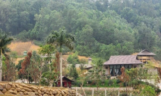 Chủ tịch Hà Nội yêu cầu khẩn trương xử lý vụ lấn chiếm đất rừng xây khu nghỉ dưỡng tại Thạch Thất