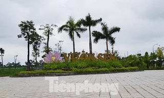 Loạn dự án BĐS 'treo đầu dê' vì chế tài xử phạt chưa nghiêm