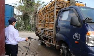 Hà Nội có hơn 700 cơ sở giết mổ nhưng chỉ hơn 20% được kiểm soát