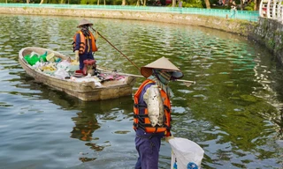 Hồ Tây ô nhiễm từng ngày, dự án nạo vét trăm tỷ 'nằm im' trên giấy suốt 6 năm