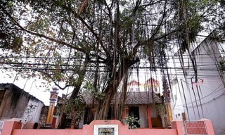 Quang cảnh Đền Mẫu, xã Tam Đồng, huyện Mê Linh