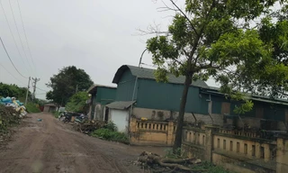 Sau vụ hỏa hoạn 8 người chết, lộ diện hàng nghìn nhà xưởng trực chờ... cháy