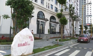 Đấu giá trực tuyến 82 căn chung cư dự án Eco Lakeview