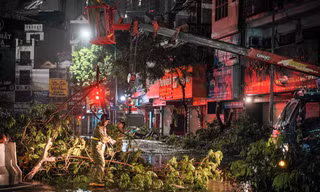 Hà Nội: Hơn 2.400 cây đổ, hàng nghìn ha lúa bị thiệt hại sau bão