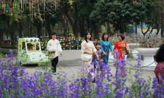 Hà Nội: Công viên vắng vẻ, 'hà mã baby' gây ấn tượng