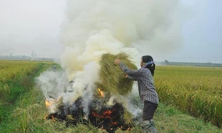 Hoạt động đốt rơm rạ vẫn diễn ra thường xuyên tại các huyện ngoại thành Hà Nội. Ảnh minh họa
